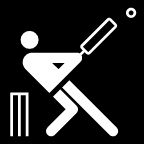 Cricket