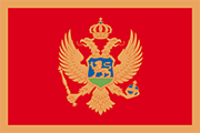 MNE flag