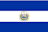 ESA flag