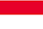 INA flag